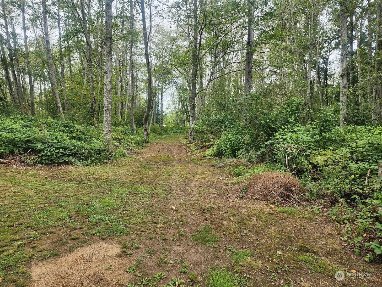 3578 Slater Road Property Photo 18