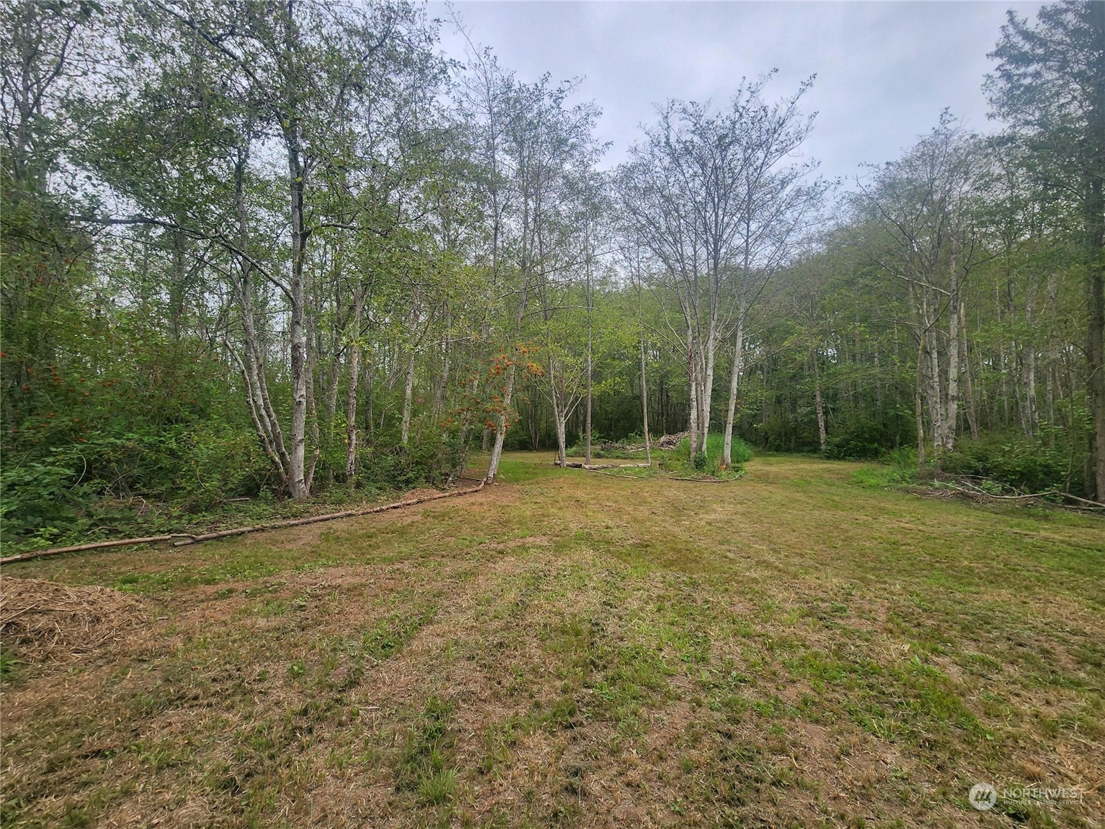 3578 Slater Road Property Photo 19