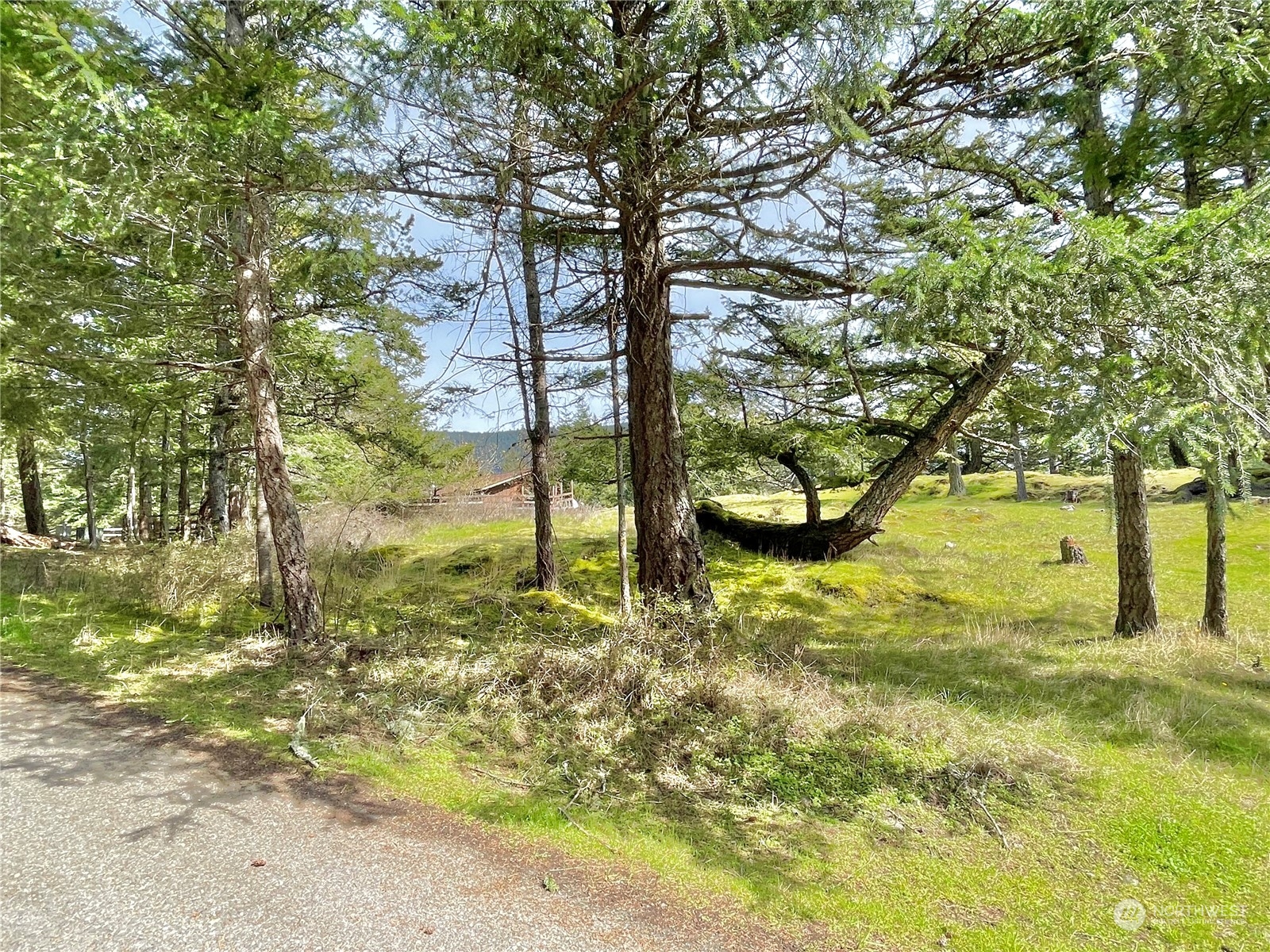 0 Xx Geiser's Way Property Photo 3