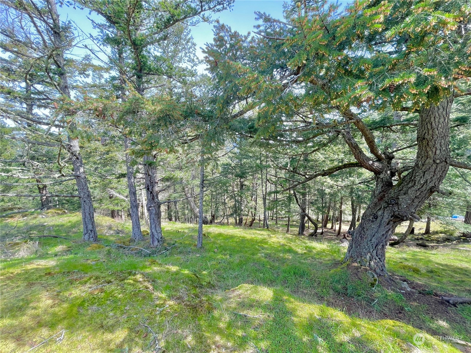 0 Xx Geiser's Way Property Photo 6