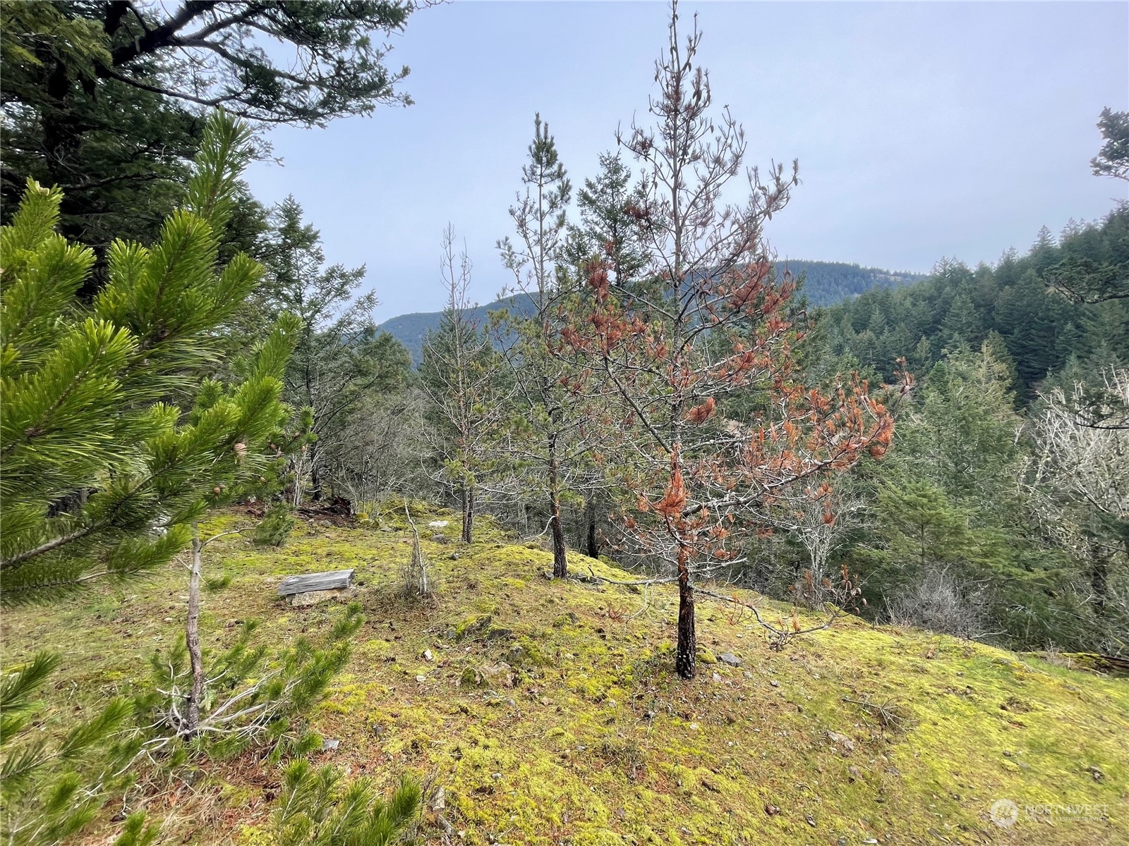 0 Xx Geiser's Way Property Photo 7