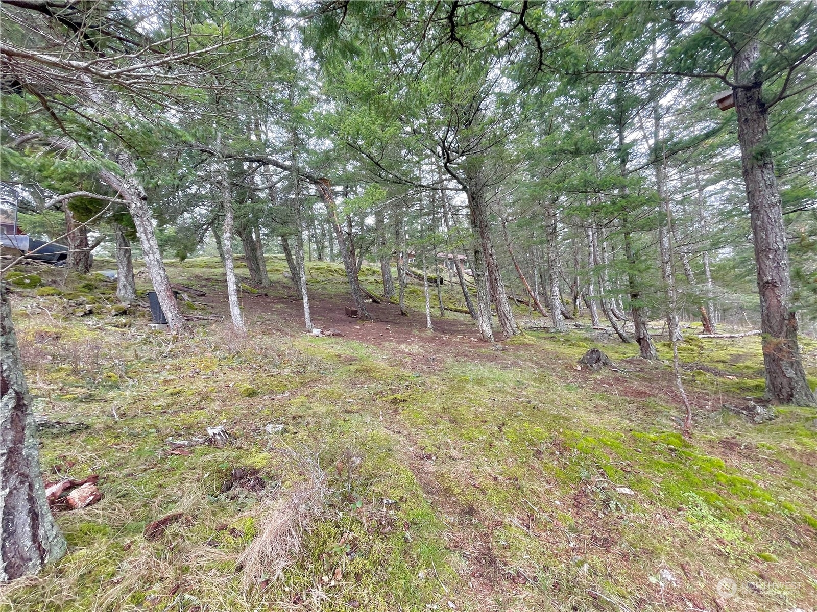 0 Xx Geiser's Way Property Photo 8