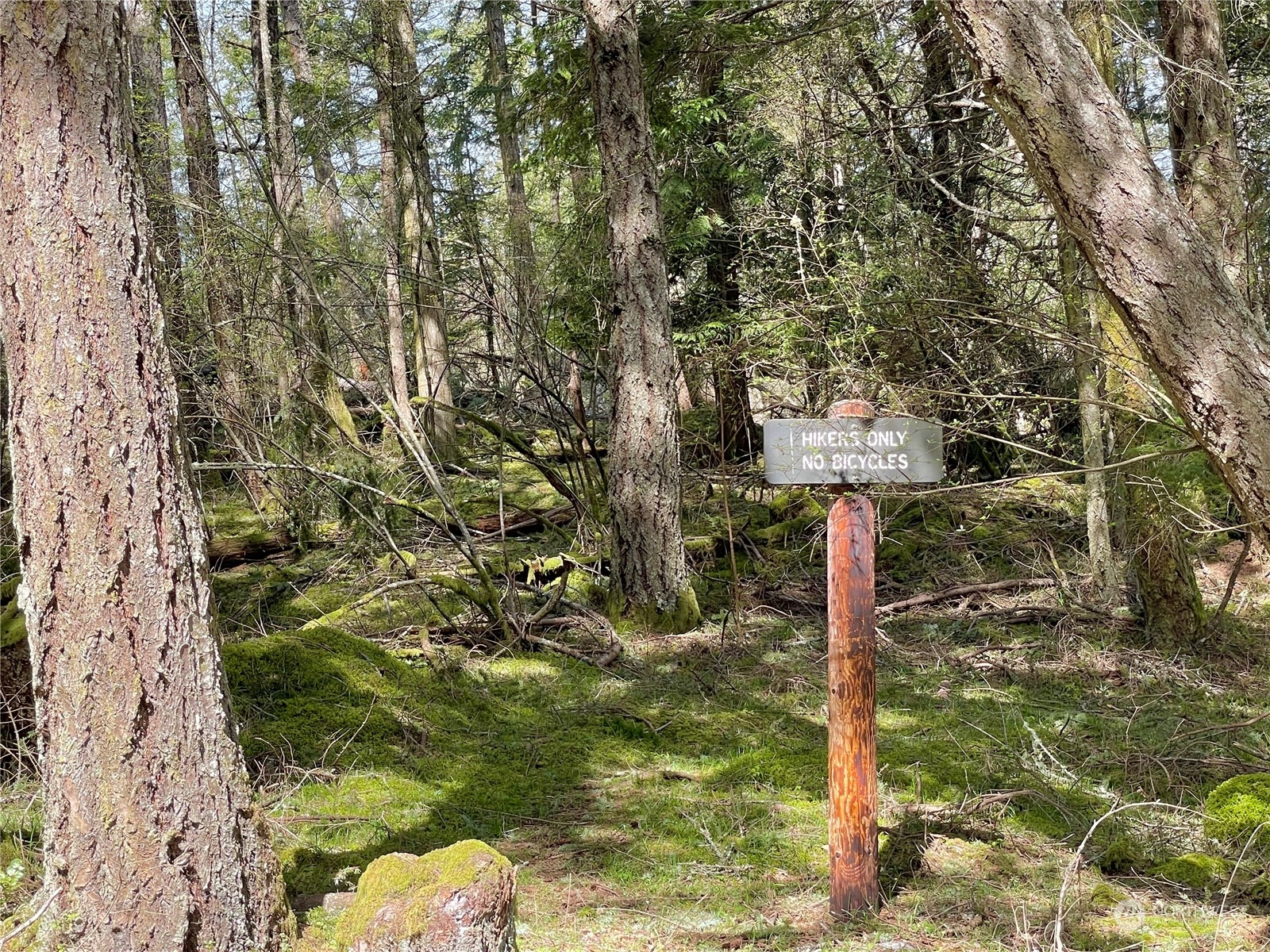 0 Xx Geiser's Way Property Photo 9