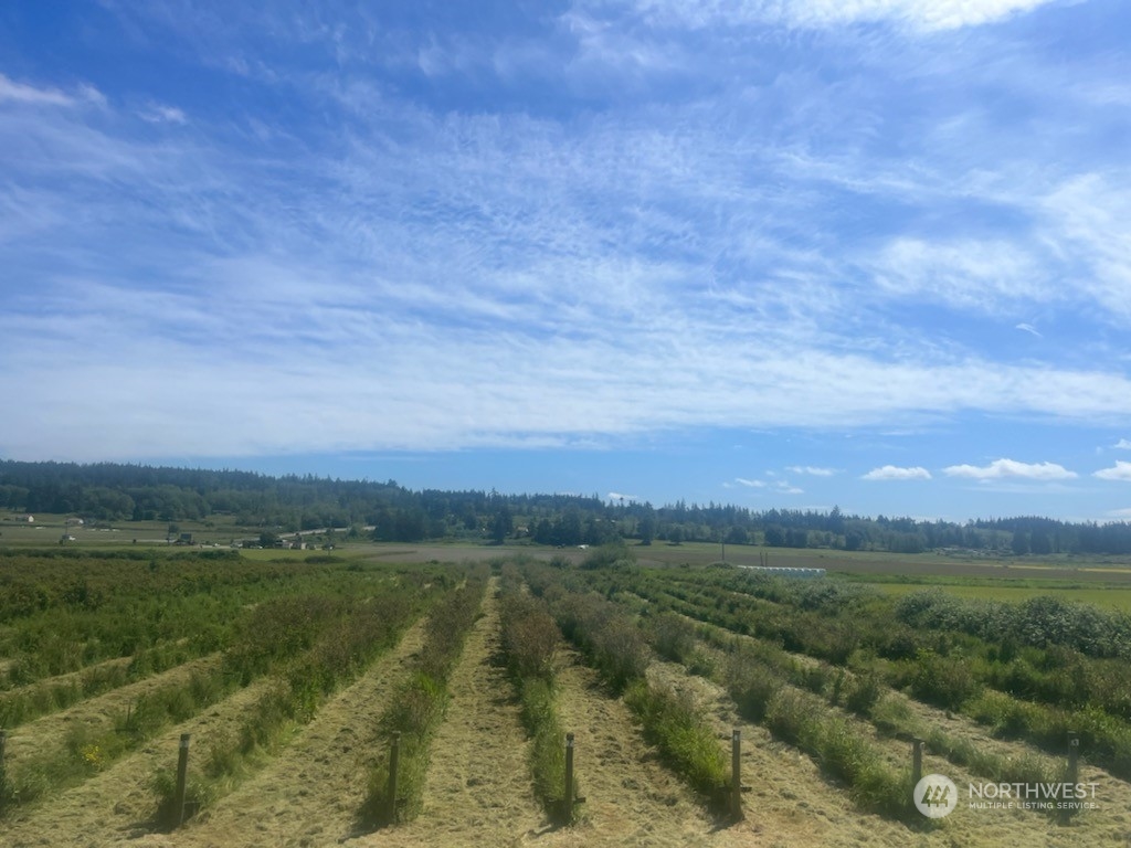 0 Xxxxx State Route 20 Property Photo 3