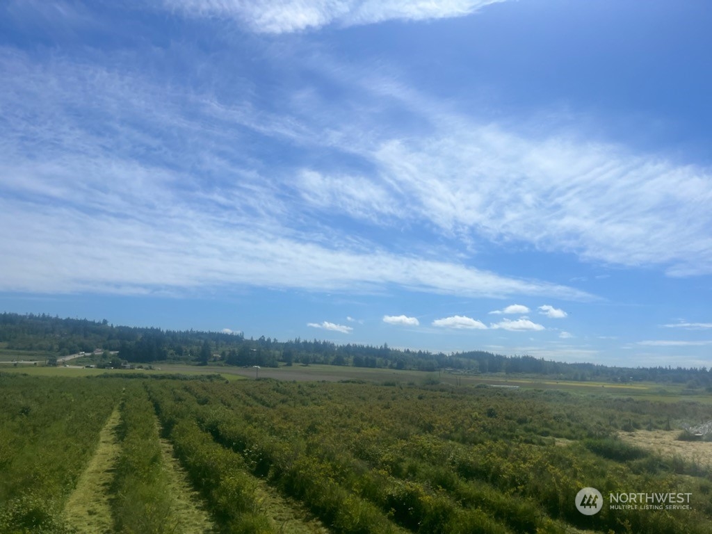 0 Xxxxx State Route 20 Property Photo 4