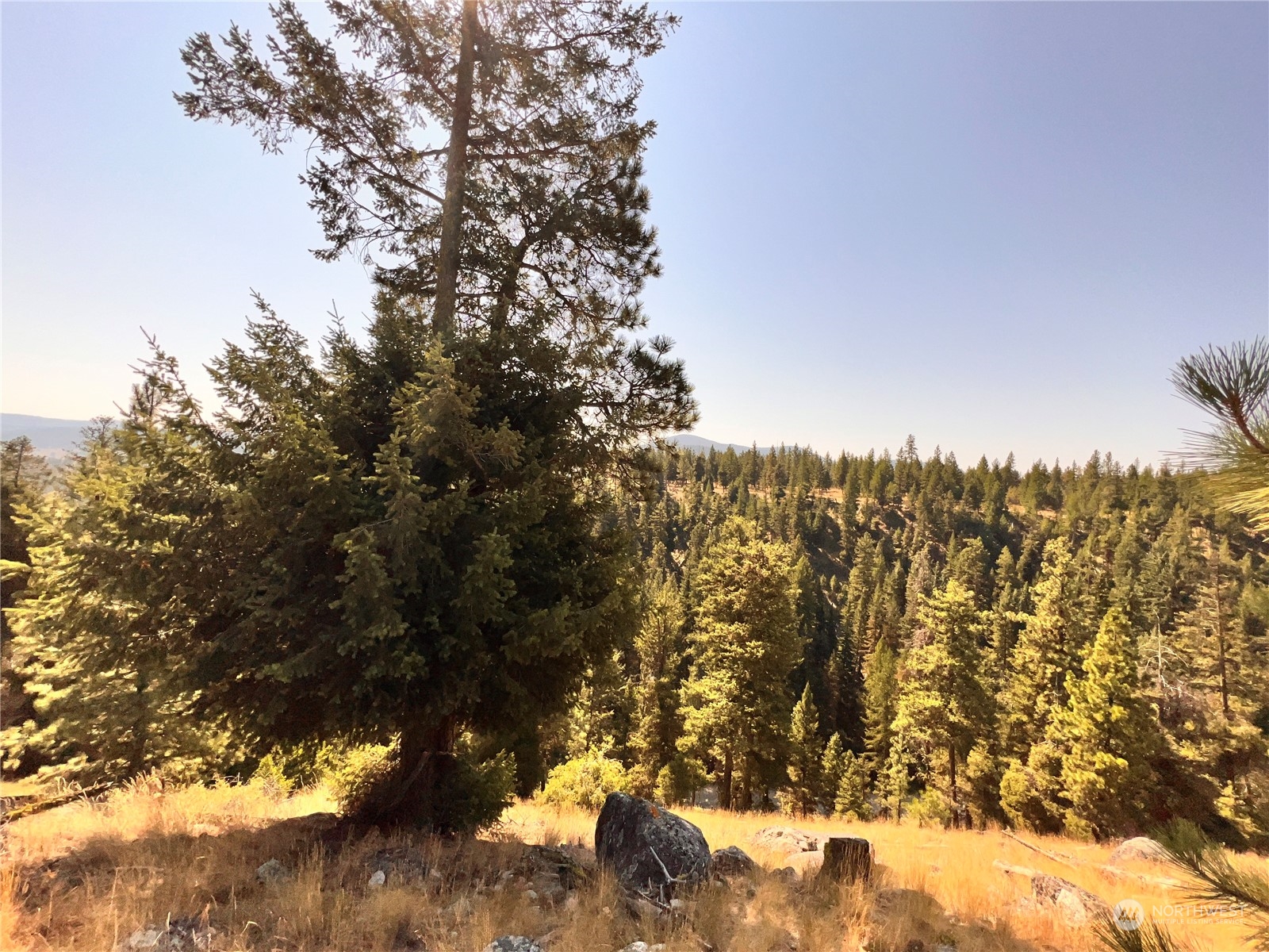 74 Fs 3230 Road Property Photo 31
