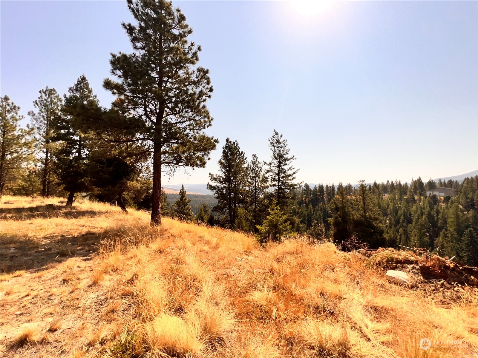 74 Fs 3230 Road Property Photo 33