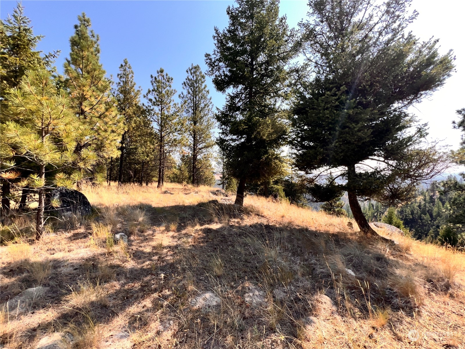 74 Fs 3230 Road Property Photo 35