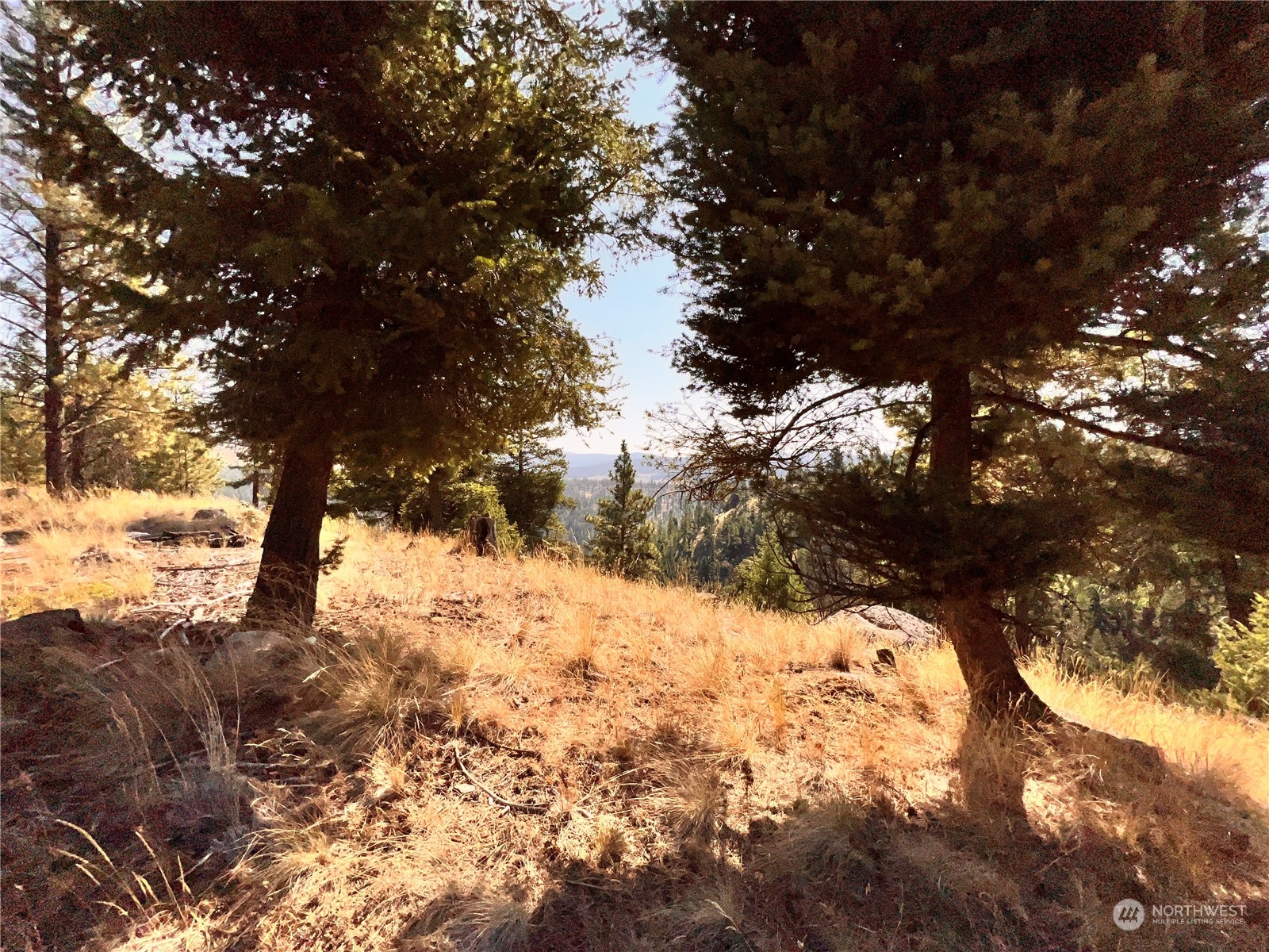 74 Fs 3230 Road Property Photo 36
