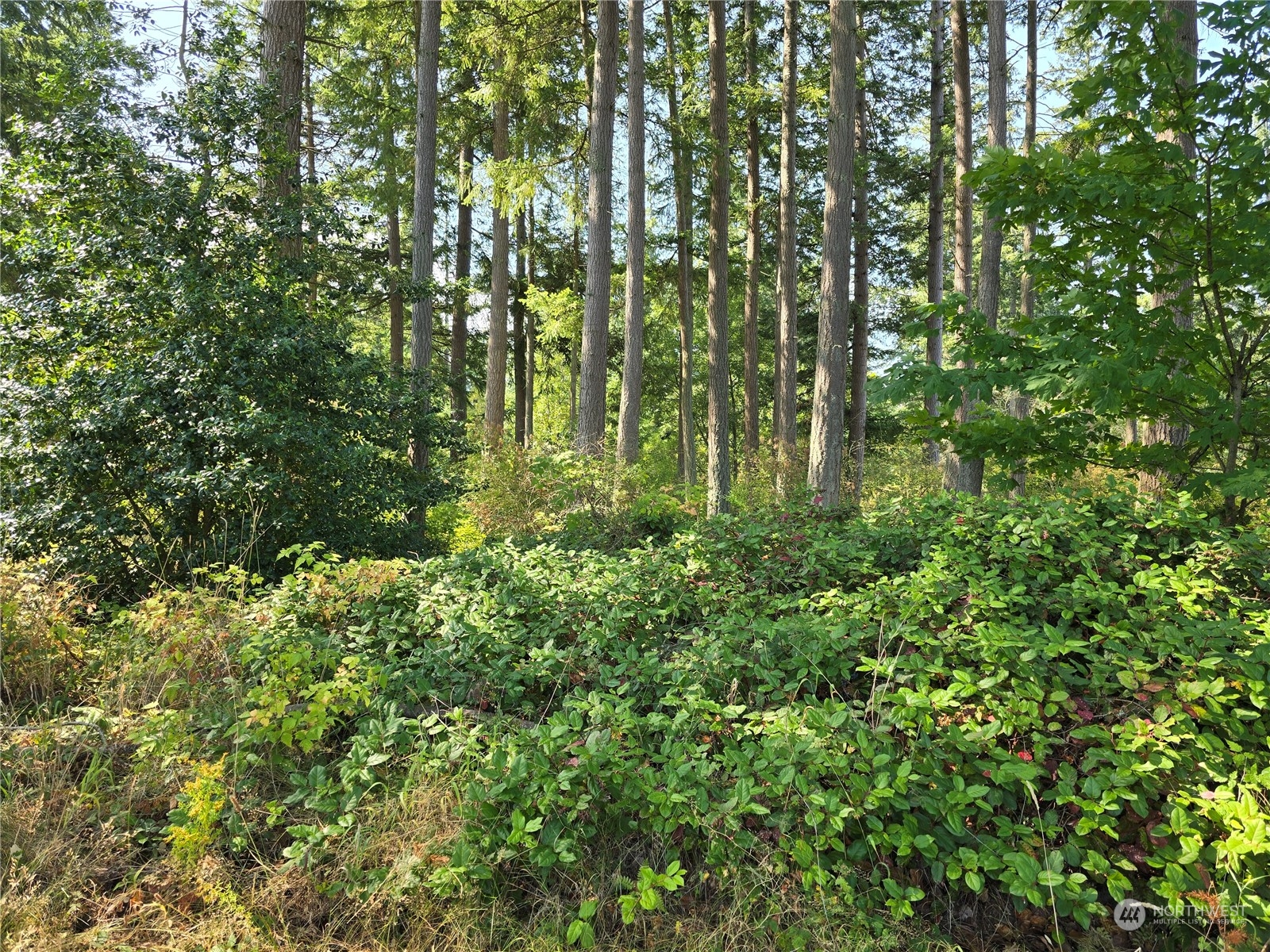 4081 Se Preserve Drive Property Photo 1
