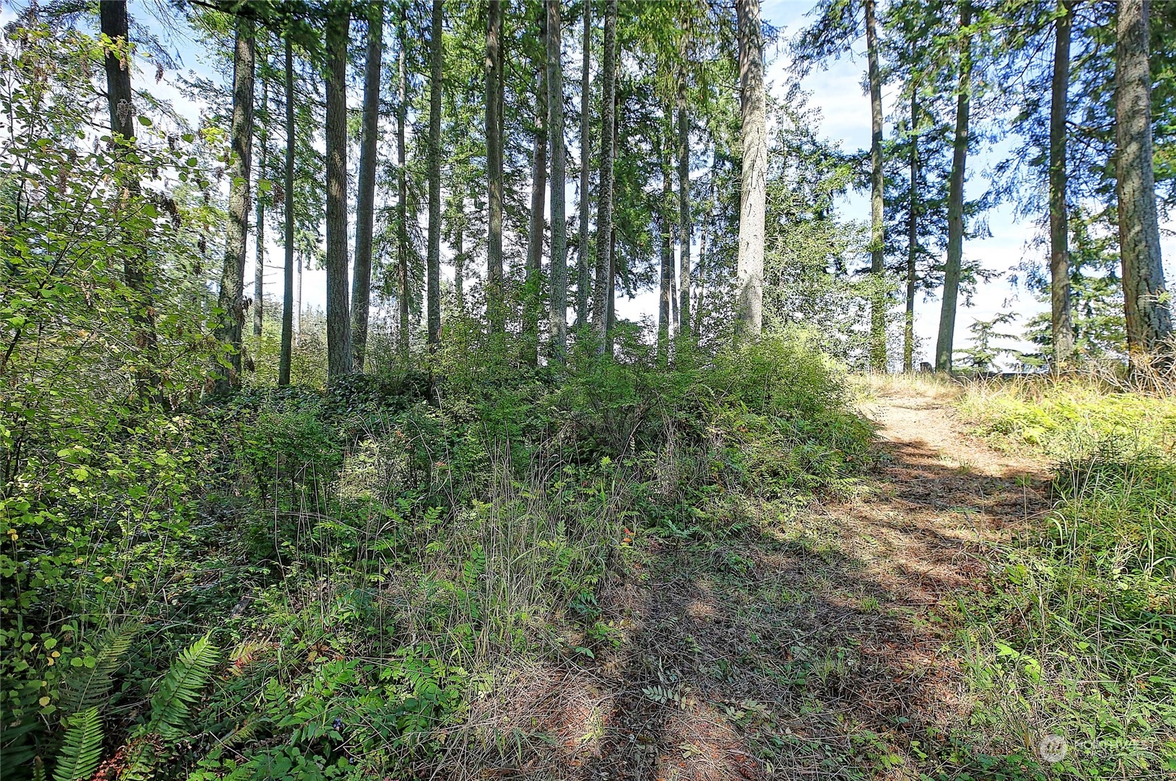4081 Se Preserve Drive Property Photo 4