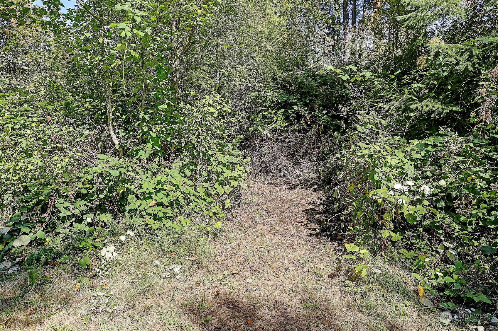 4081 Se Preserve Drive Property Photo 9