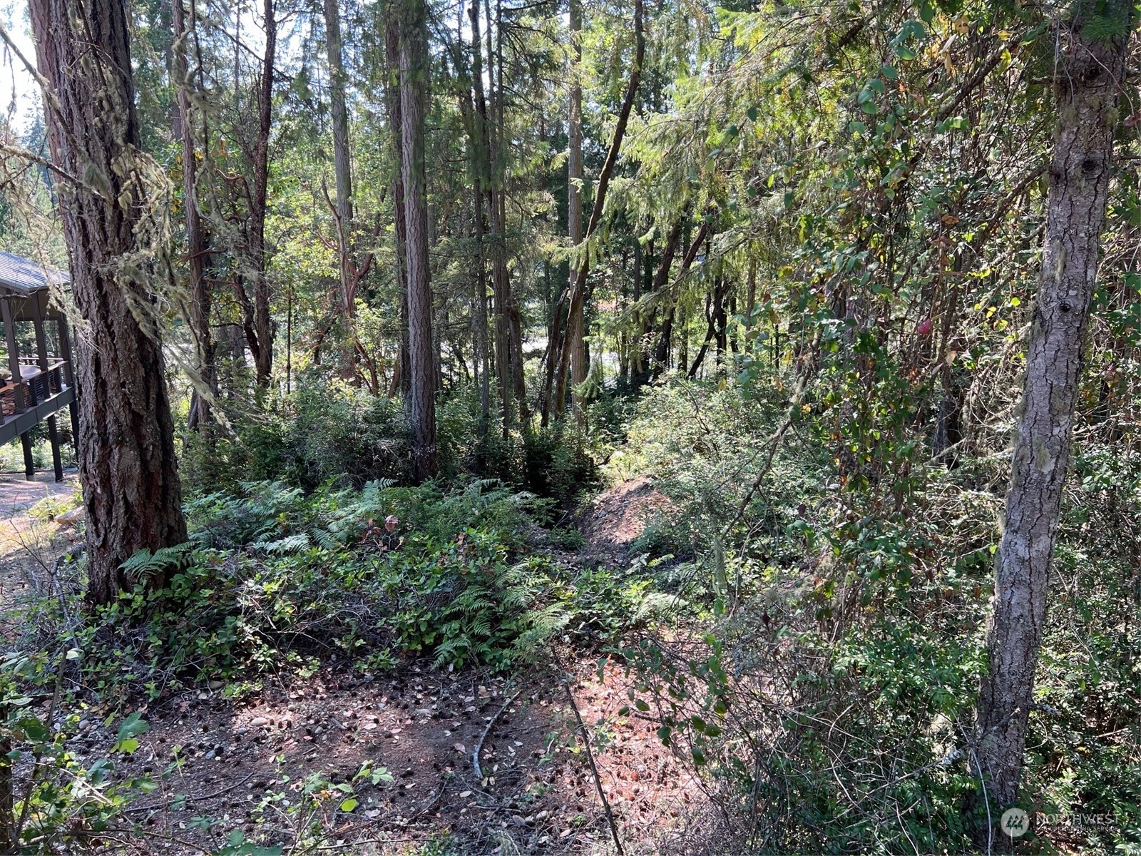 11024 Matthews Way Property Photo 11
