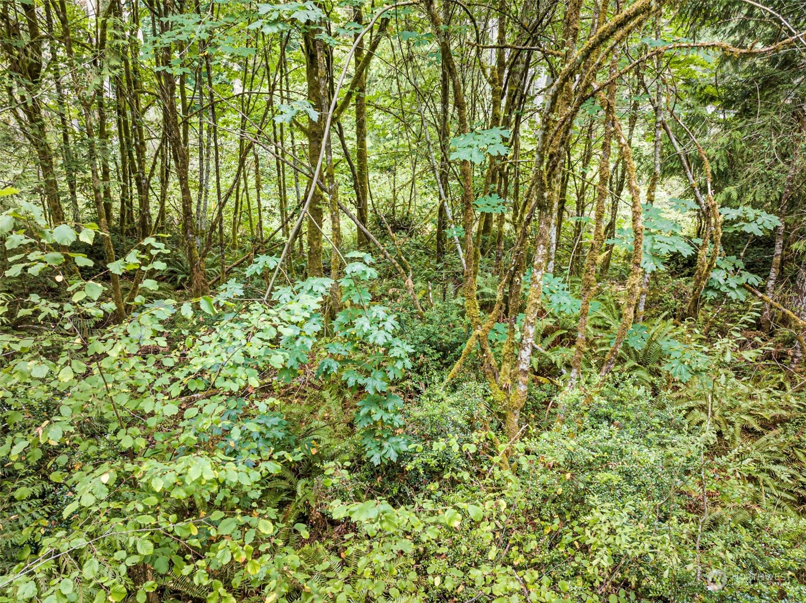 0 Lackey Road Property Photo 1