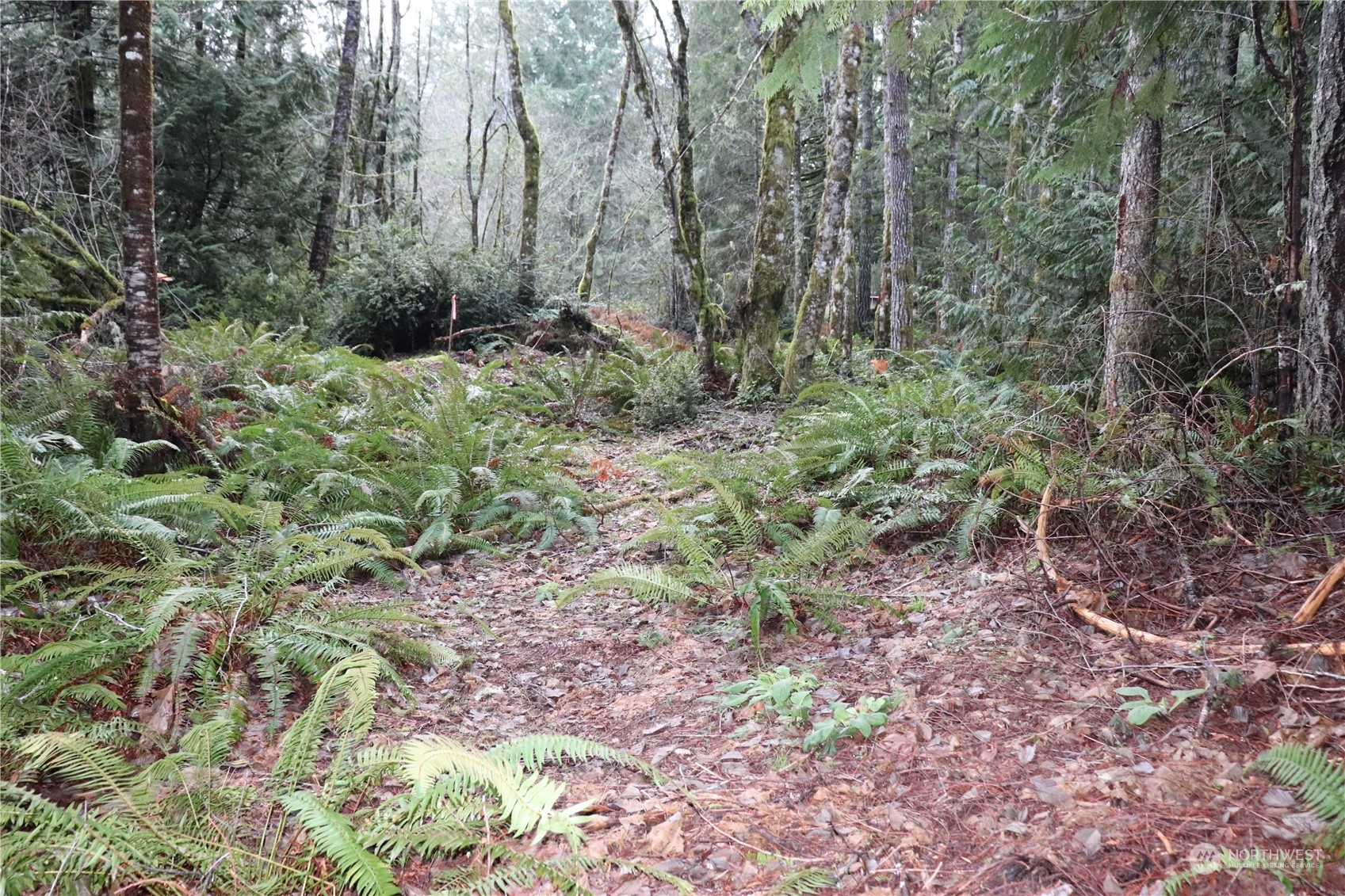 0 Lackey Road Property Photo 2