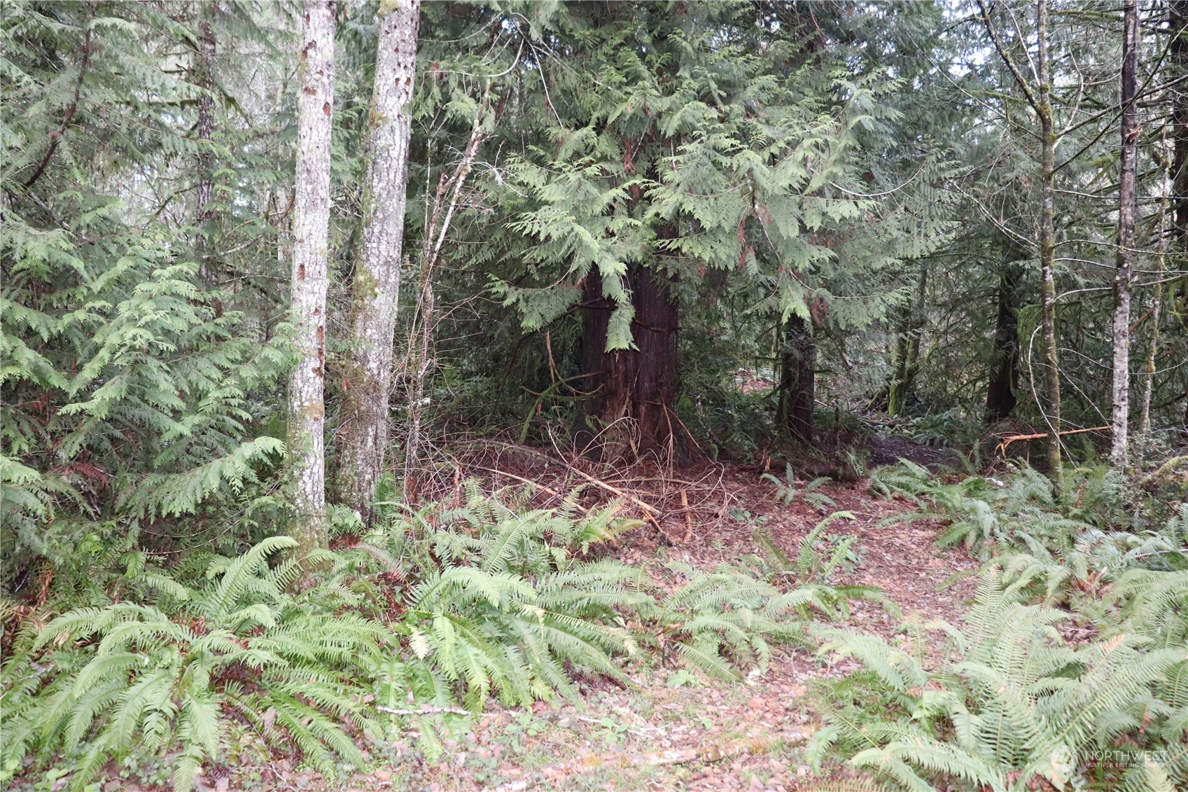 0 Lackey Road Property Photo 3