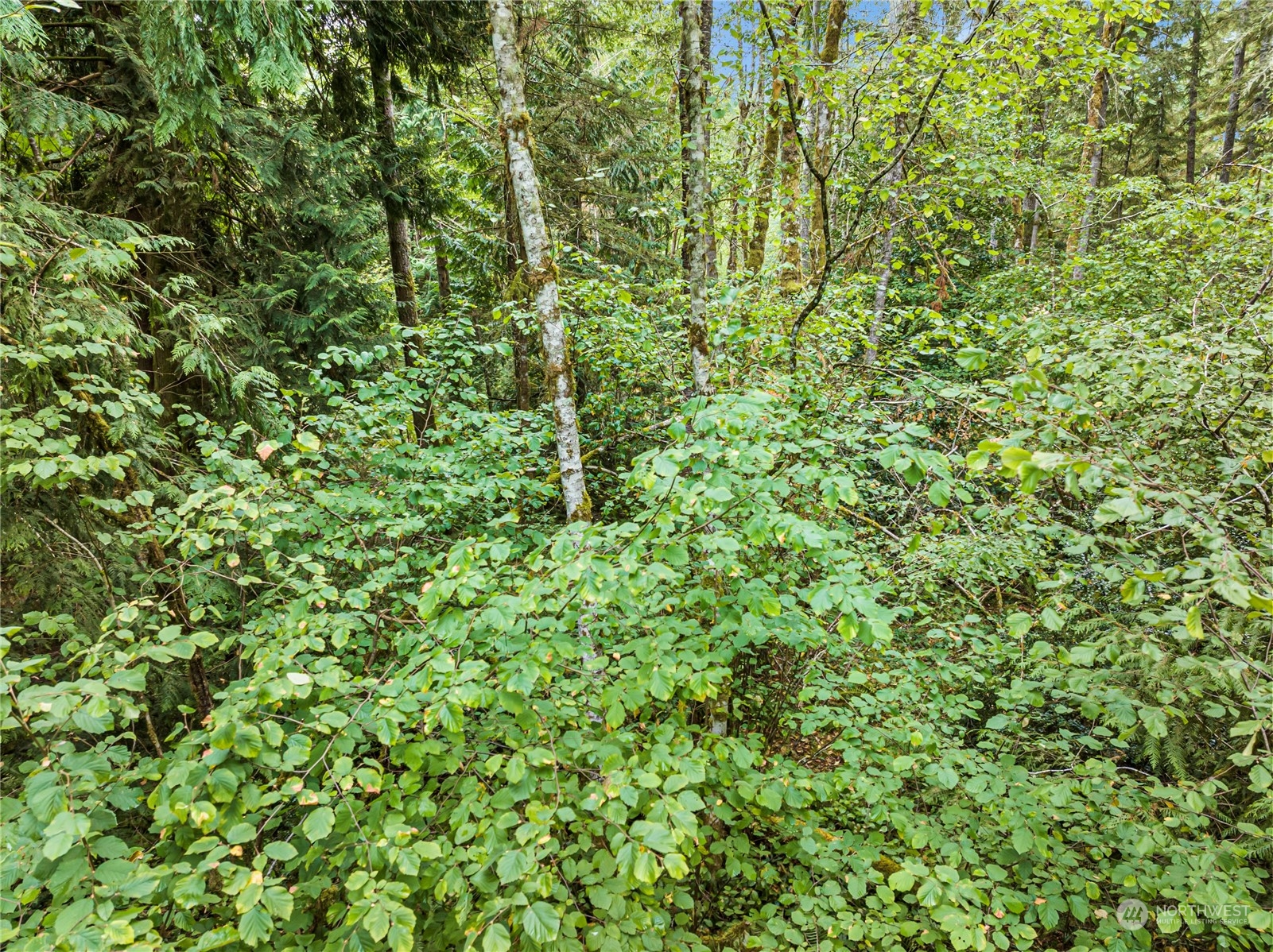 0 Lackey Road Property Photo 16