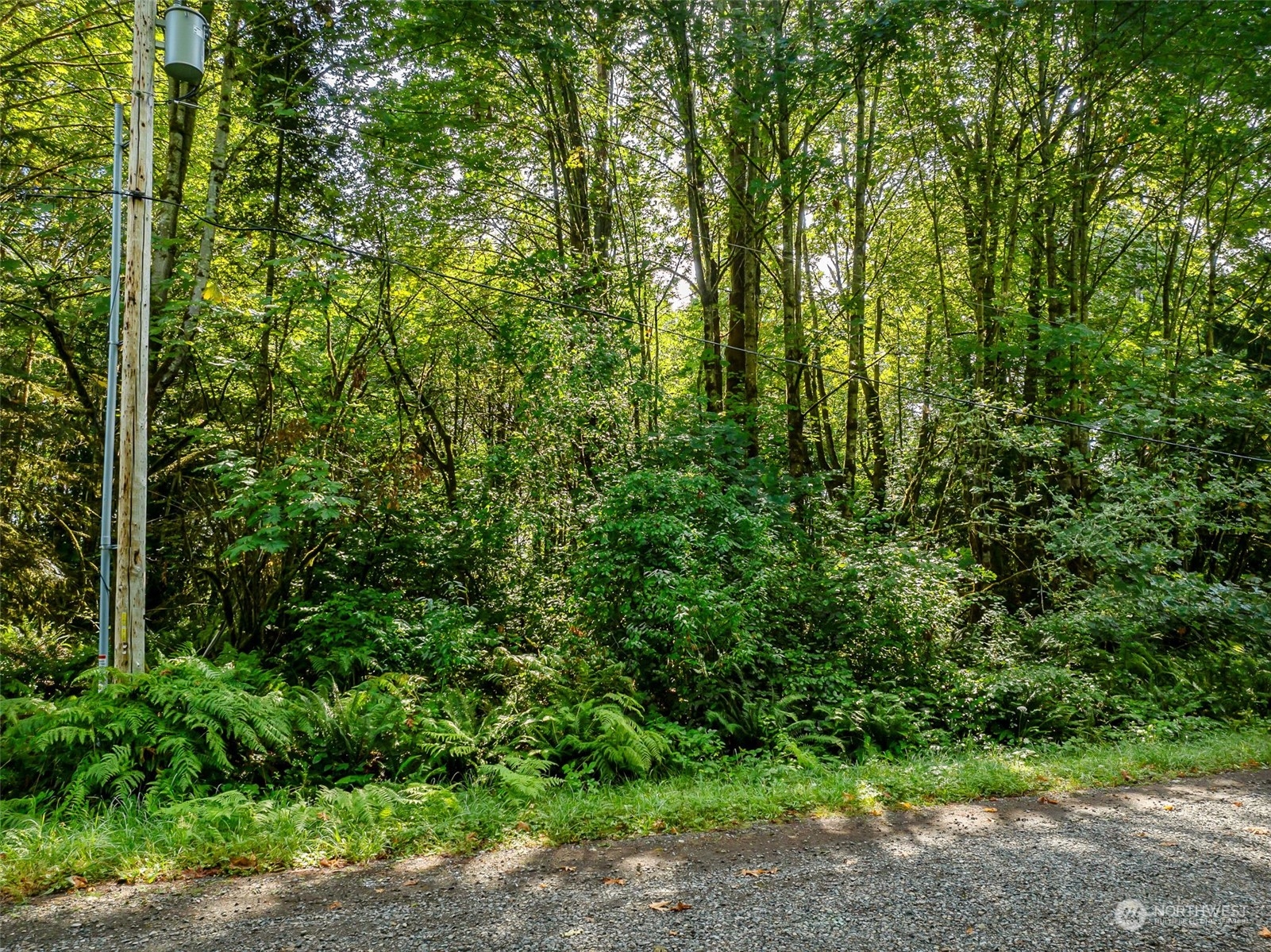 1518 Ann Street Property Photo 5