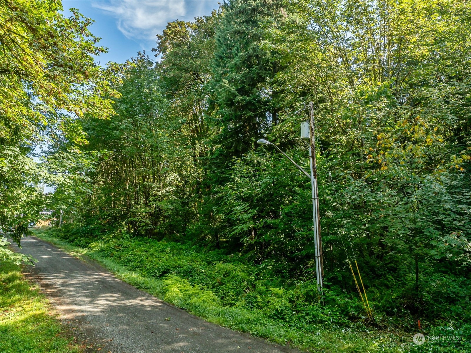 1518 Ann Street Property Photo 6