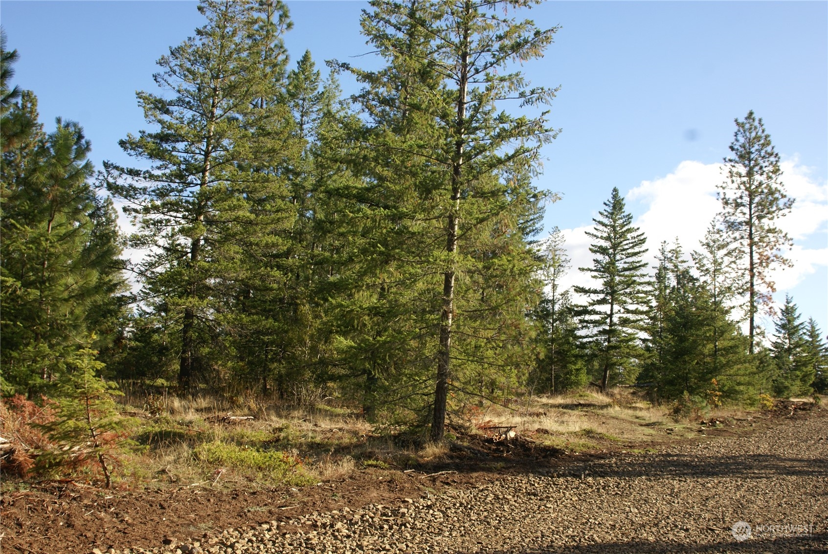 4 Ranger's Meadows Road Property Photo 4