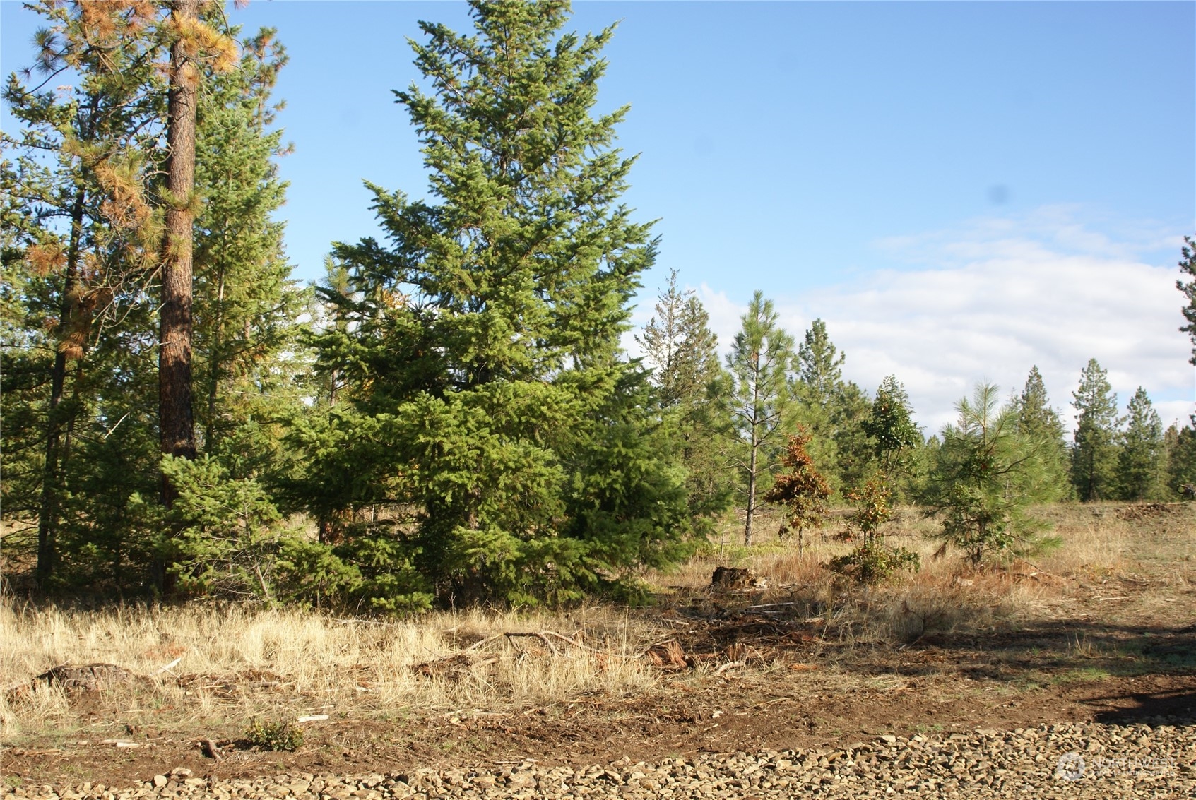 4 Ranger's Meadows Road Property Photo 5