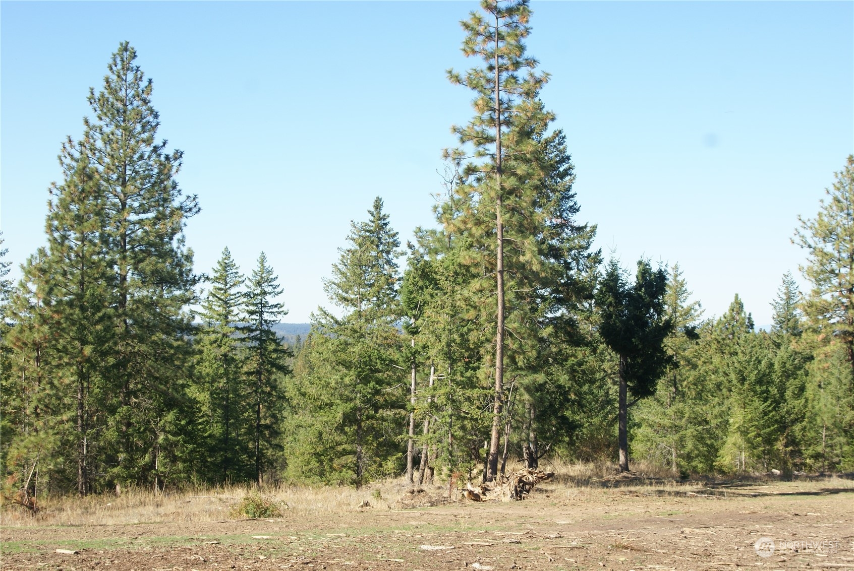 4 Ranger's Meadows Road Property Photo 7