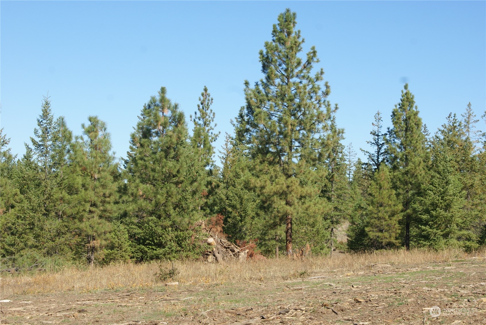 4 Ranger's Meadows Road Property Photo 8