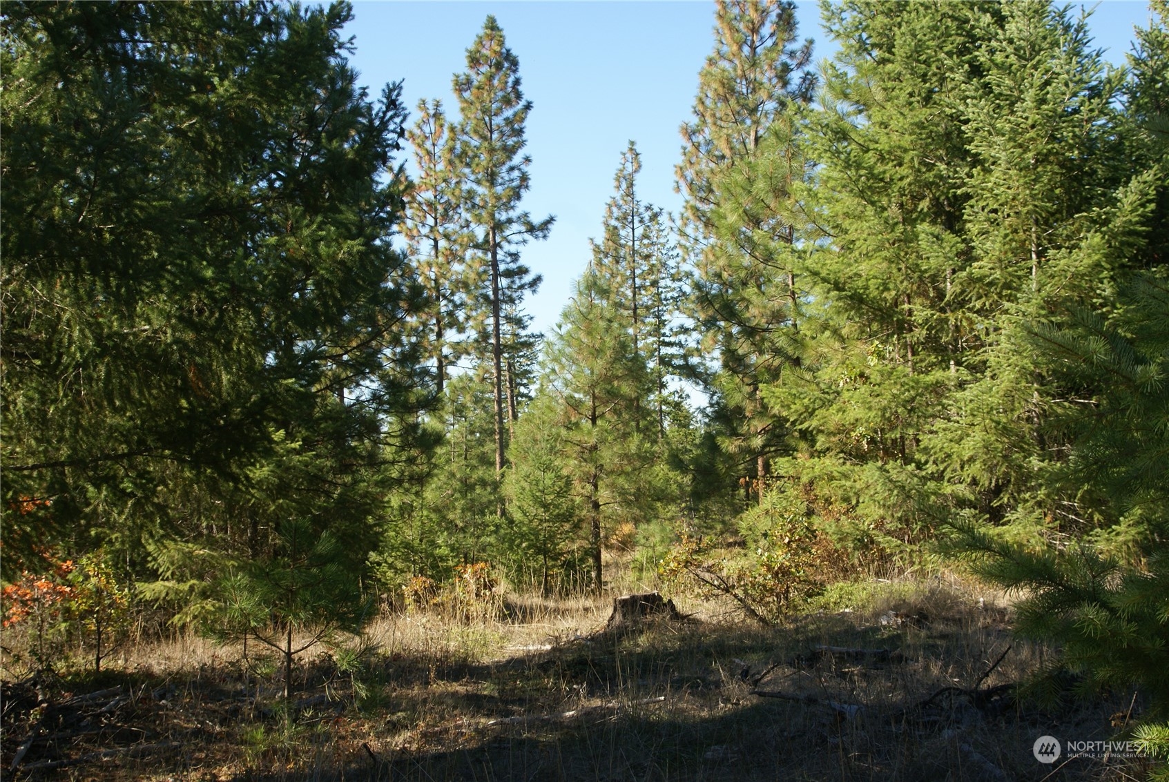 4 Ranger's Meadows Road Property Photo 14