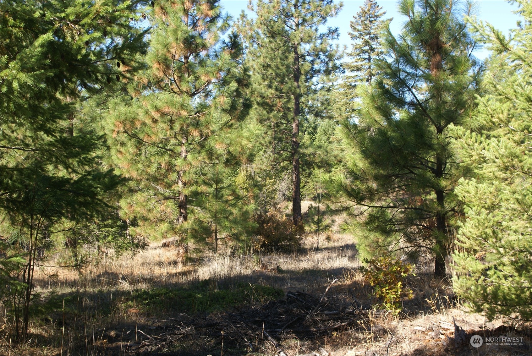 4 Ranger's Meadows Road Property Photo 15