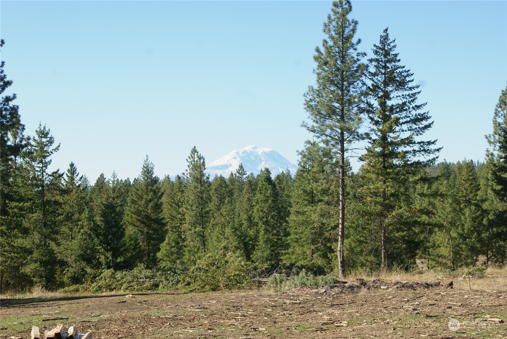 4 Ranger's Meadows Road Property Photo 17