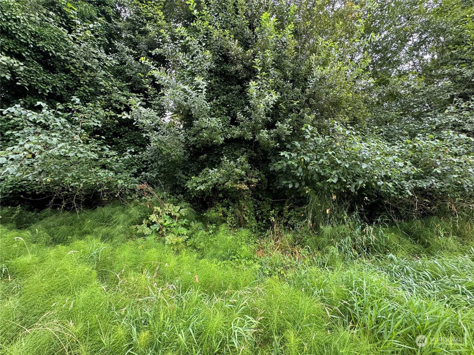 0 Xxxx Van Buren Street Property Photo 3