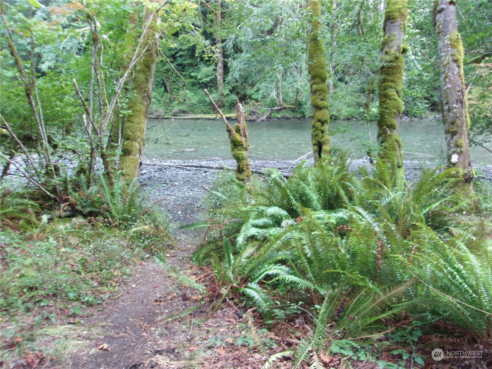0 Mossy Lane Property Photo