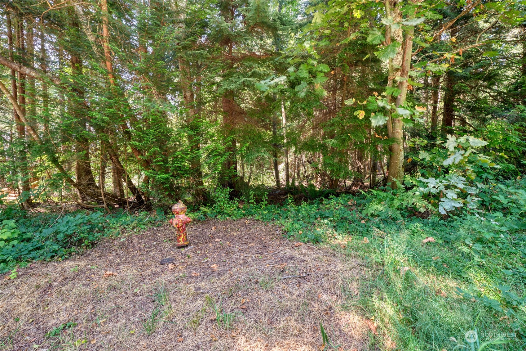 47 Claire Lane Property Photo 3