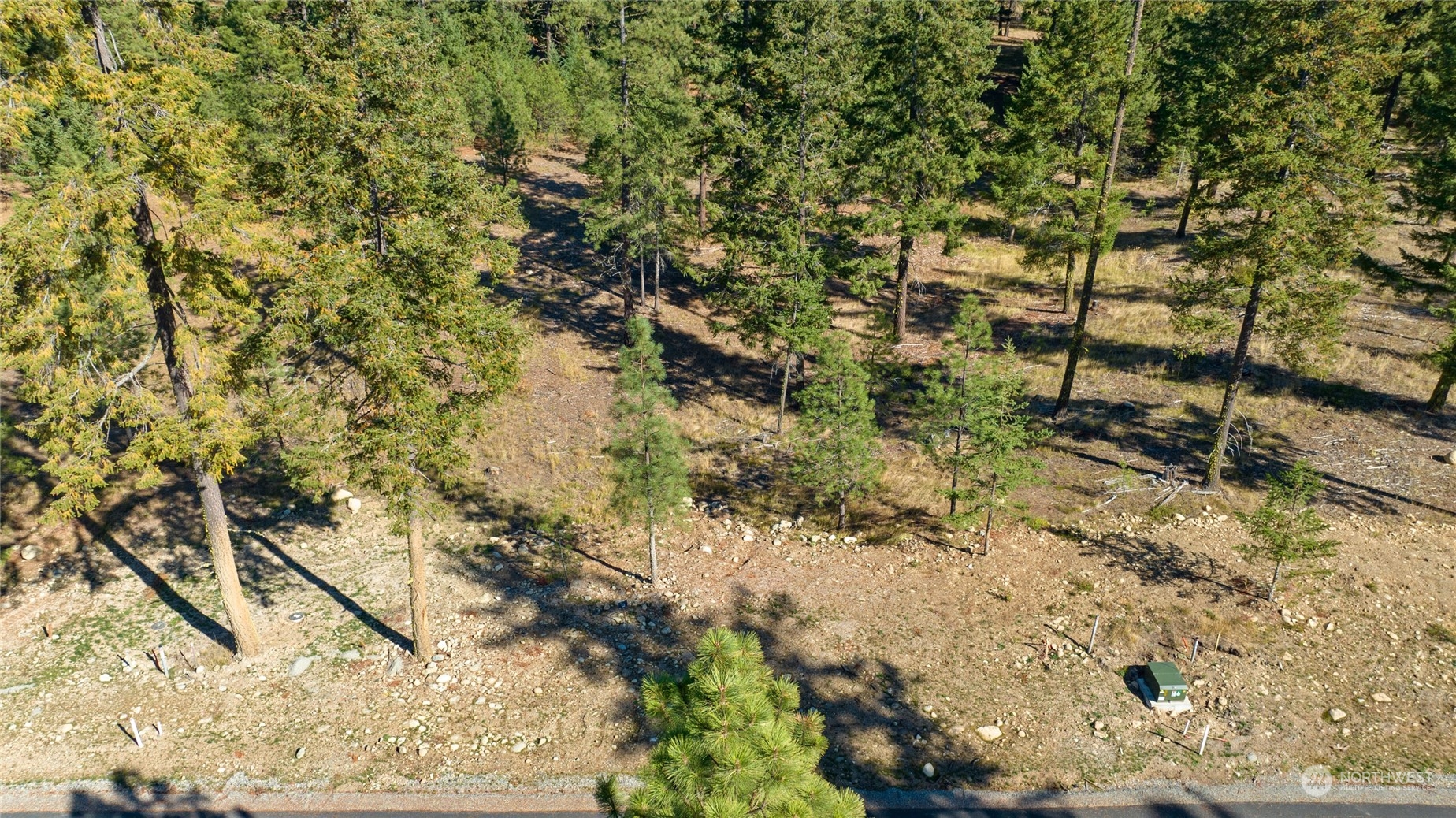 860 Domerie Park Loop Property Photo 3