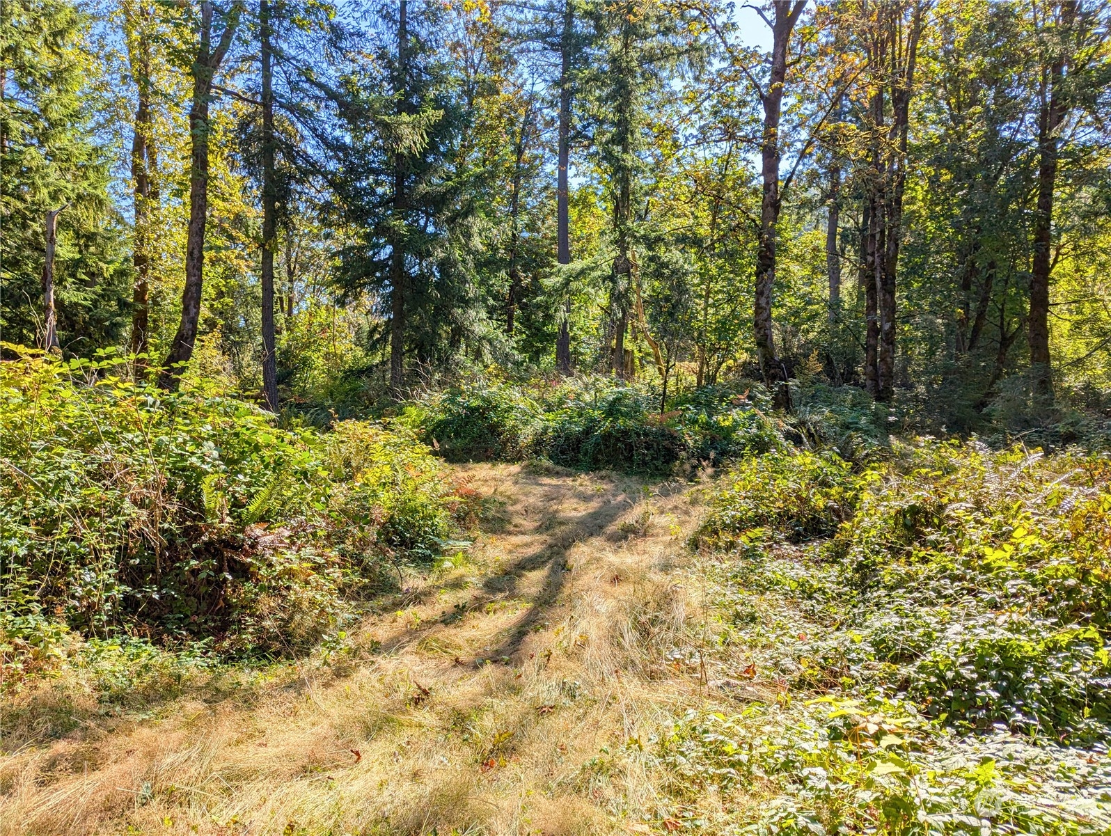 1110 350th Avenue Property Photo 7