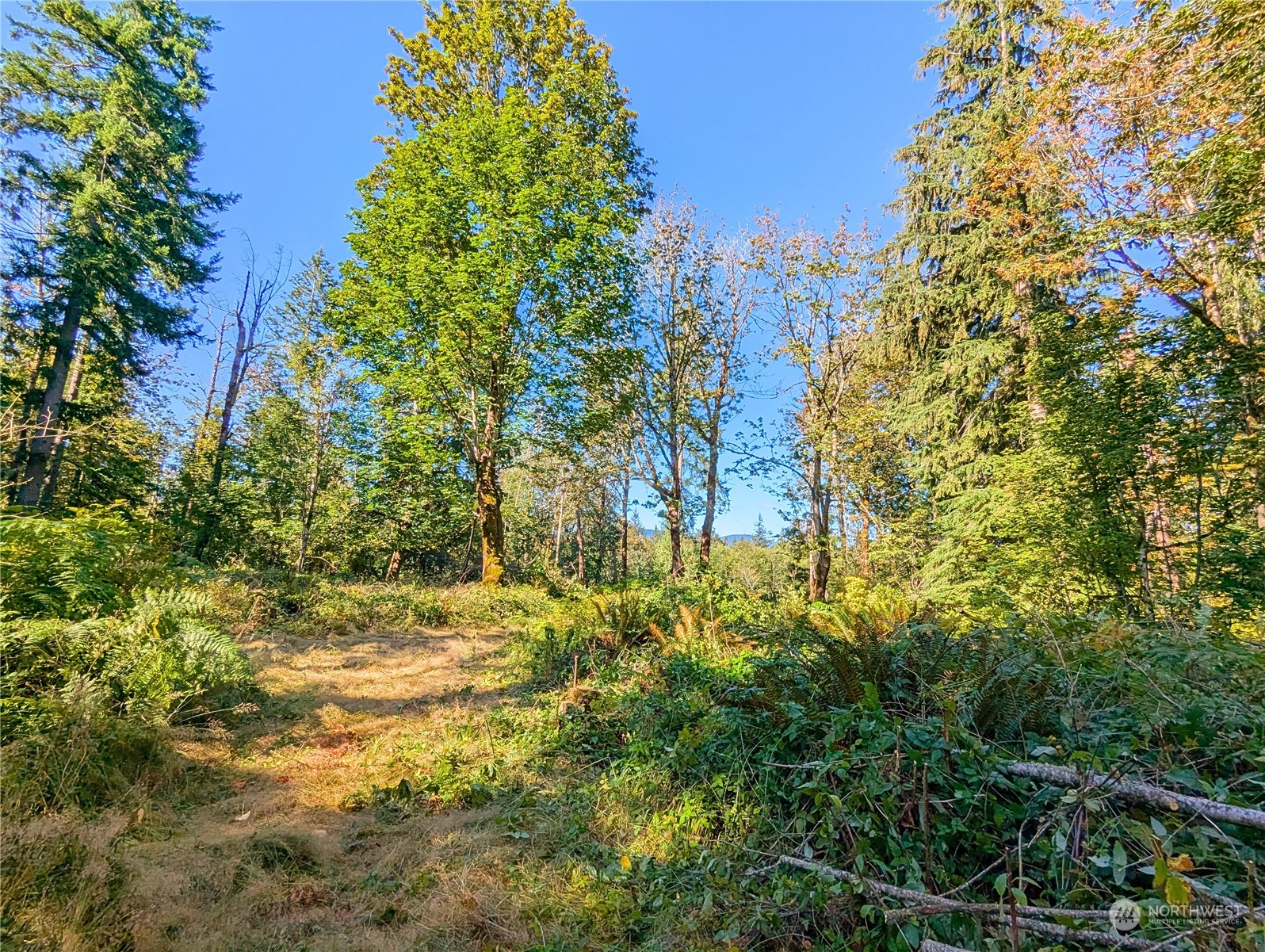 1110 350th Avenue Property Photo 8