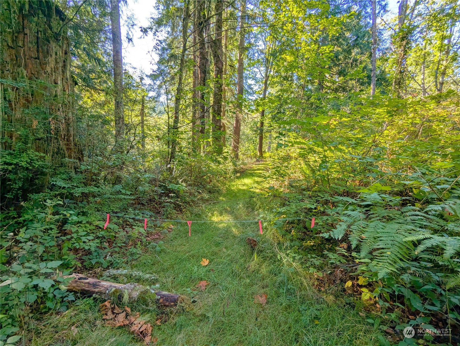 1110 350th Avenue Property Photo 9