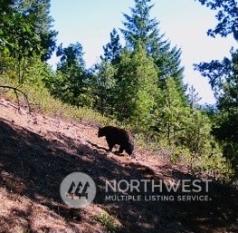 2692 Us-97 Highway Property Photo 15