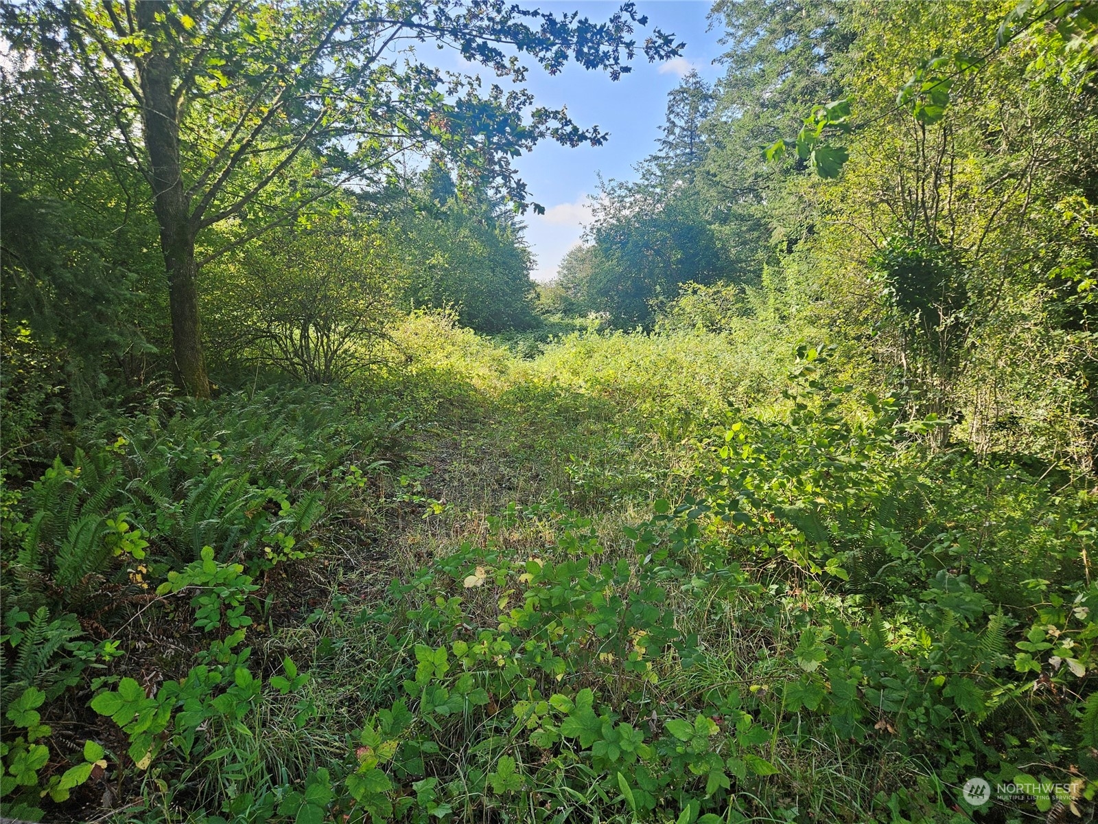 1051 E Quilcene Road Property Photo