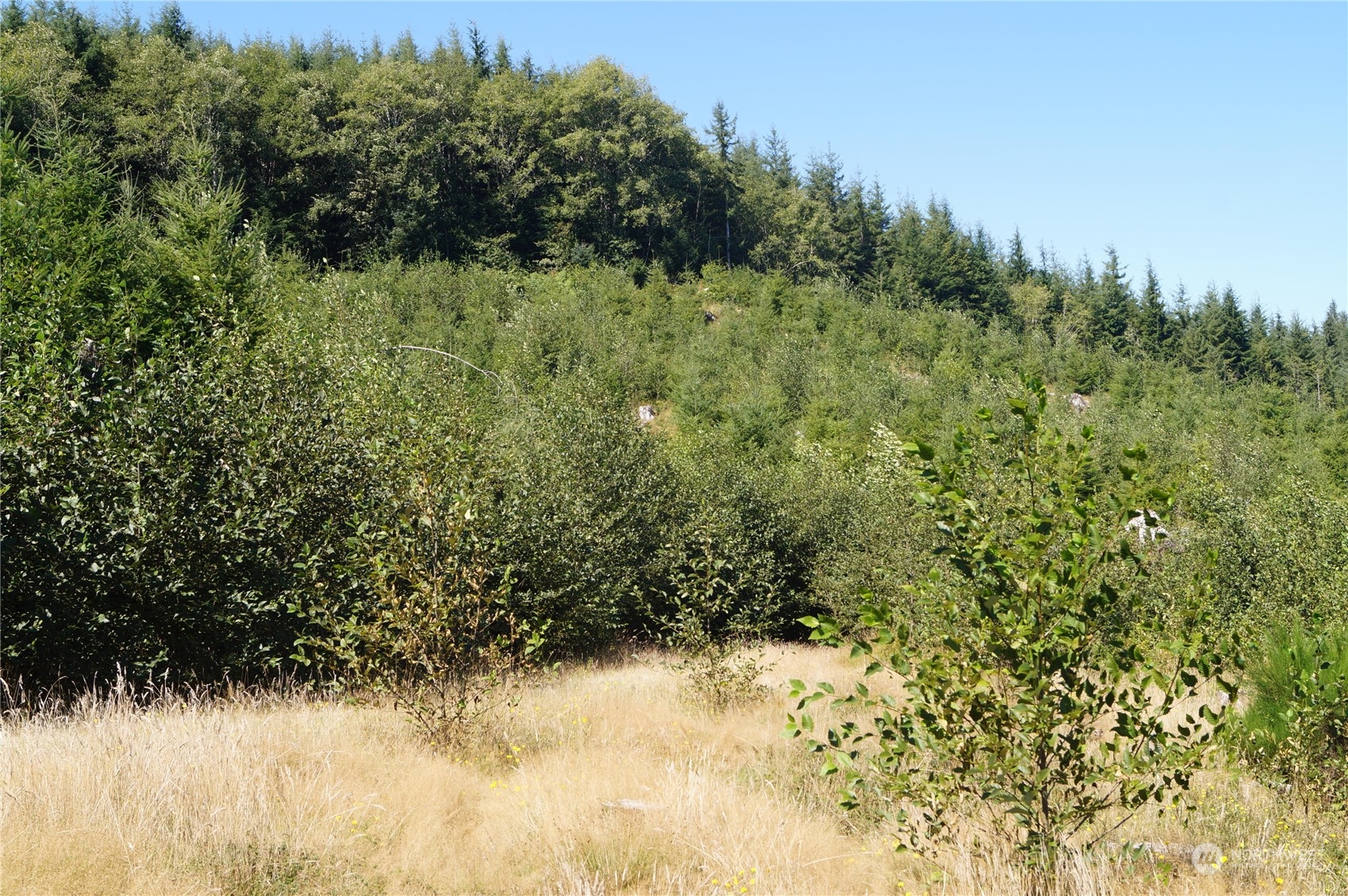 0 Off Of Lund Road Property Photo 7