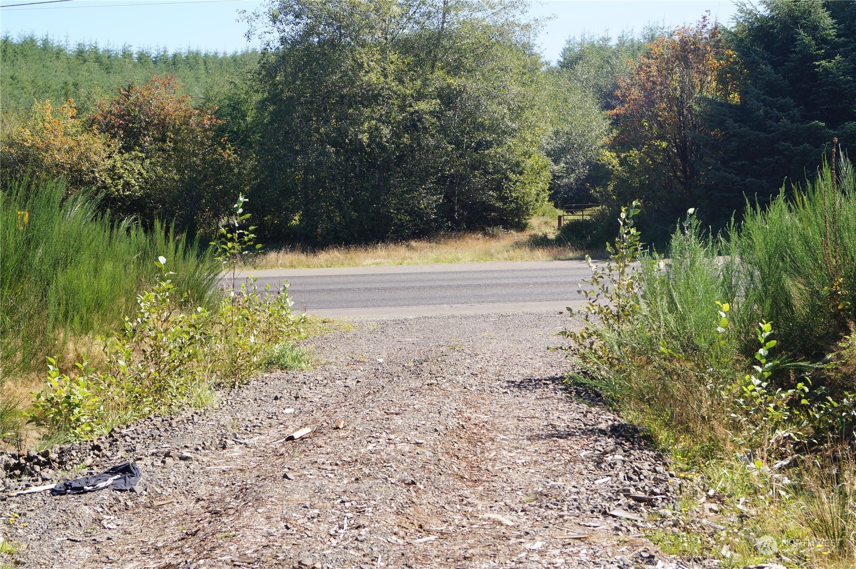 0 Off Of Lund Road Property Photo 13