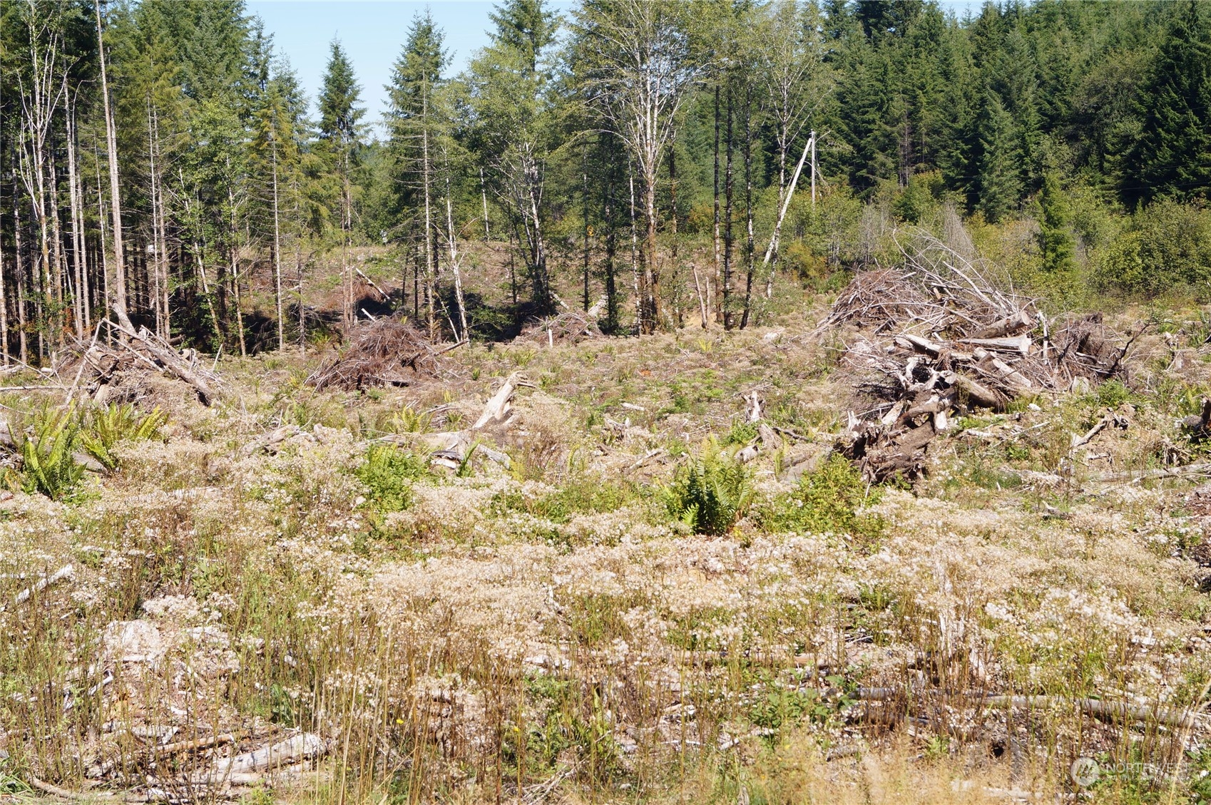 0 Off Of Lund Road Property Photo 15