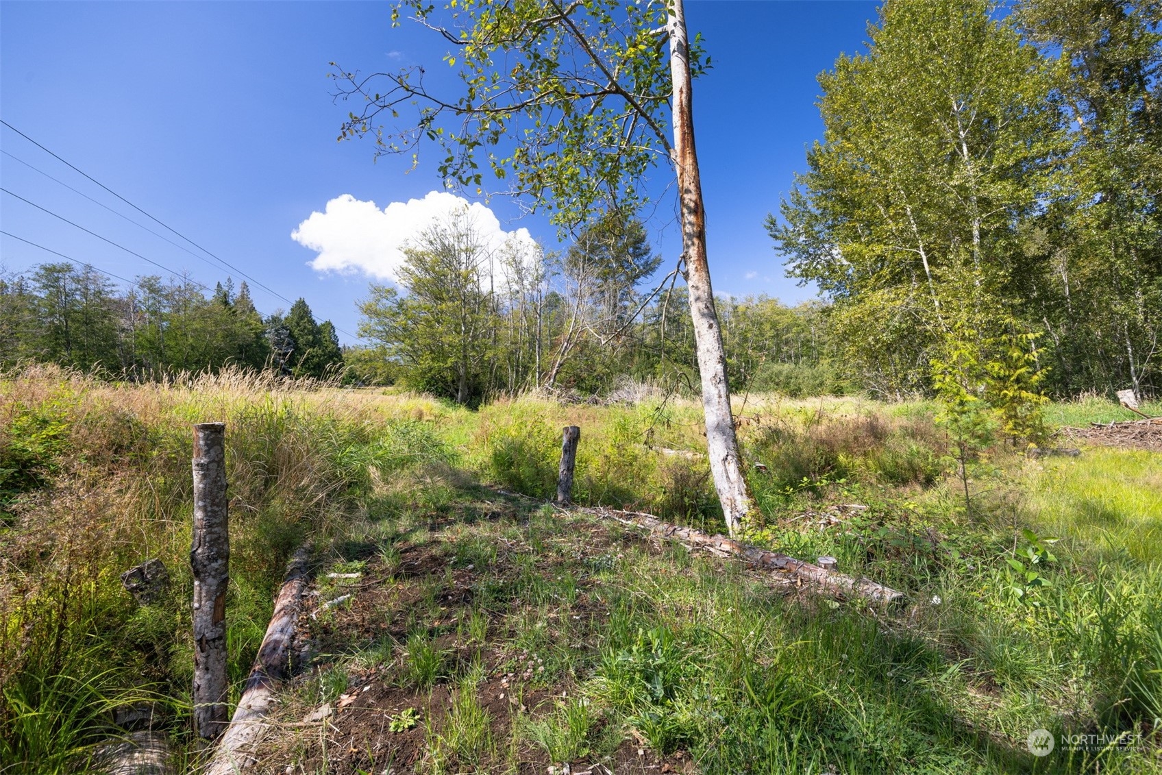 0 Xxx Brown Road Property Photo