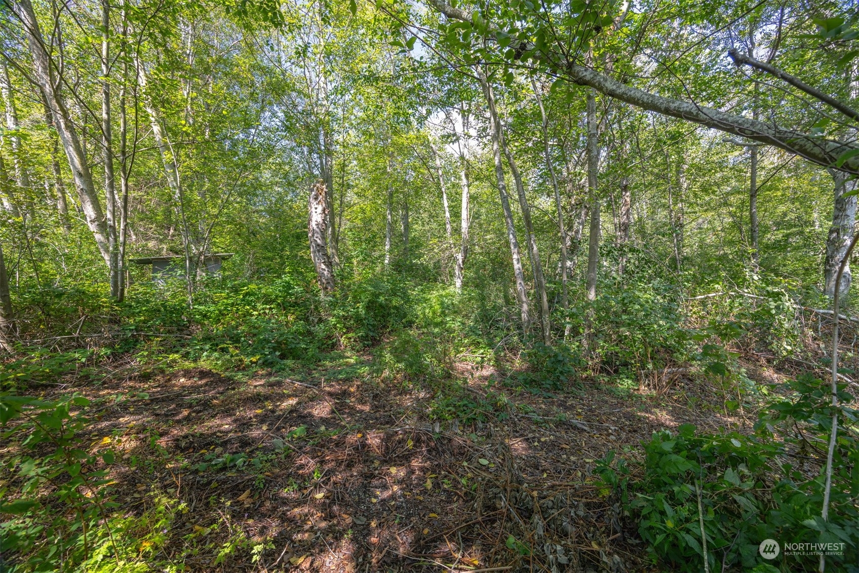 0 Xxx Brown Road Property Photo 9