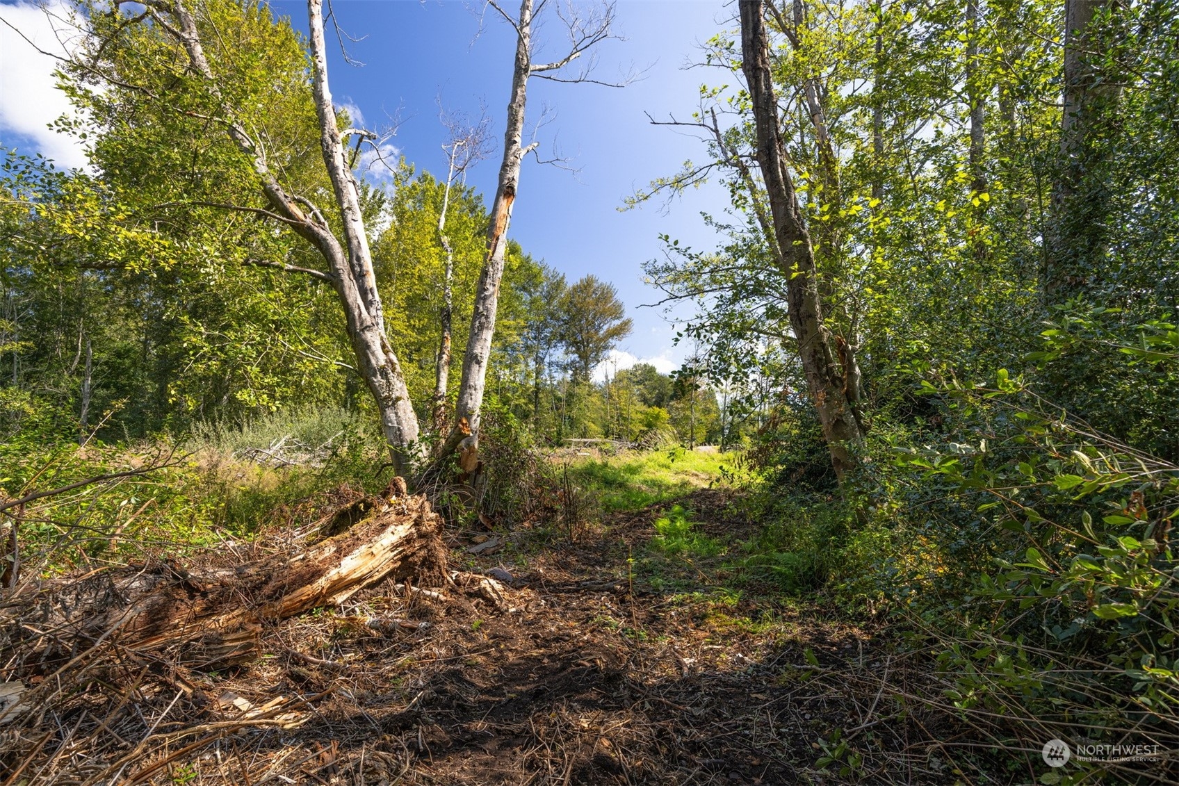 0 Xxx Brown Road Property Photo 12