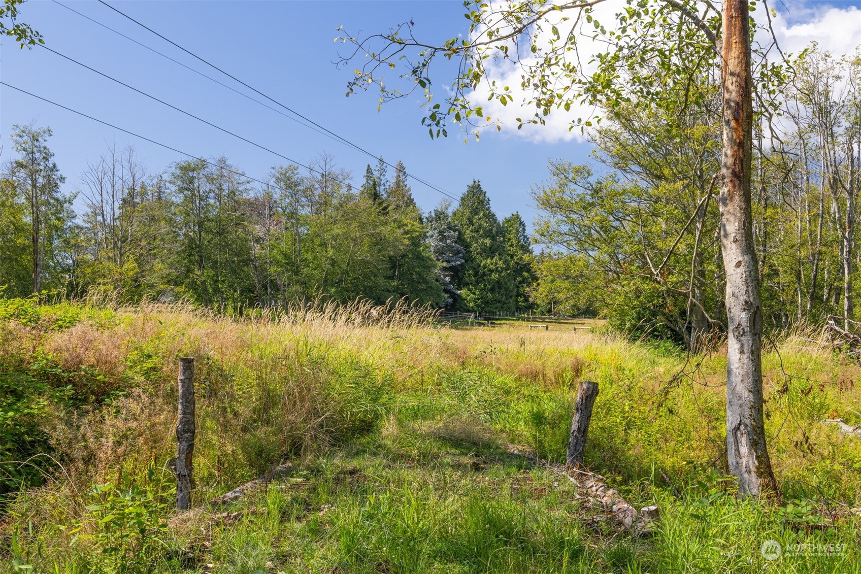 0 Xxx Brown Road Property Photo 14
