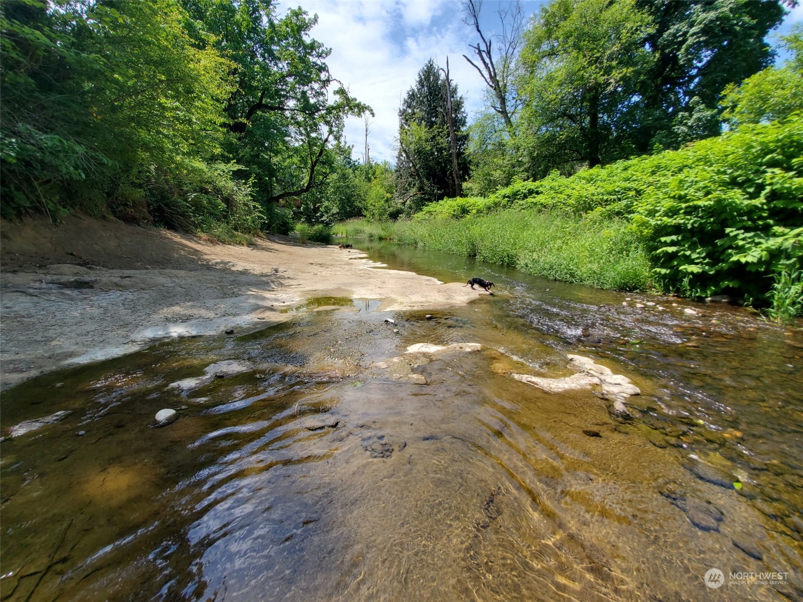 1377 Hining Road Property Photo 11