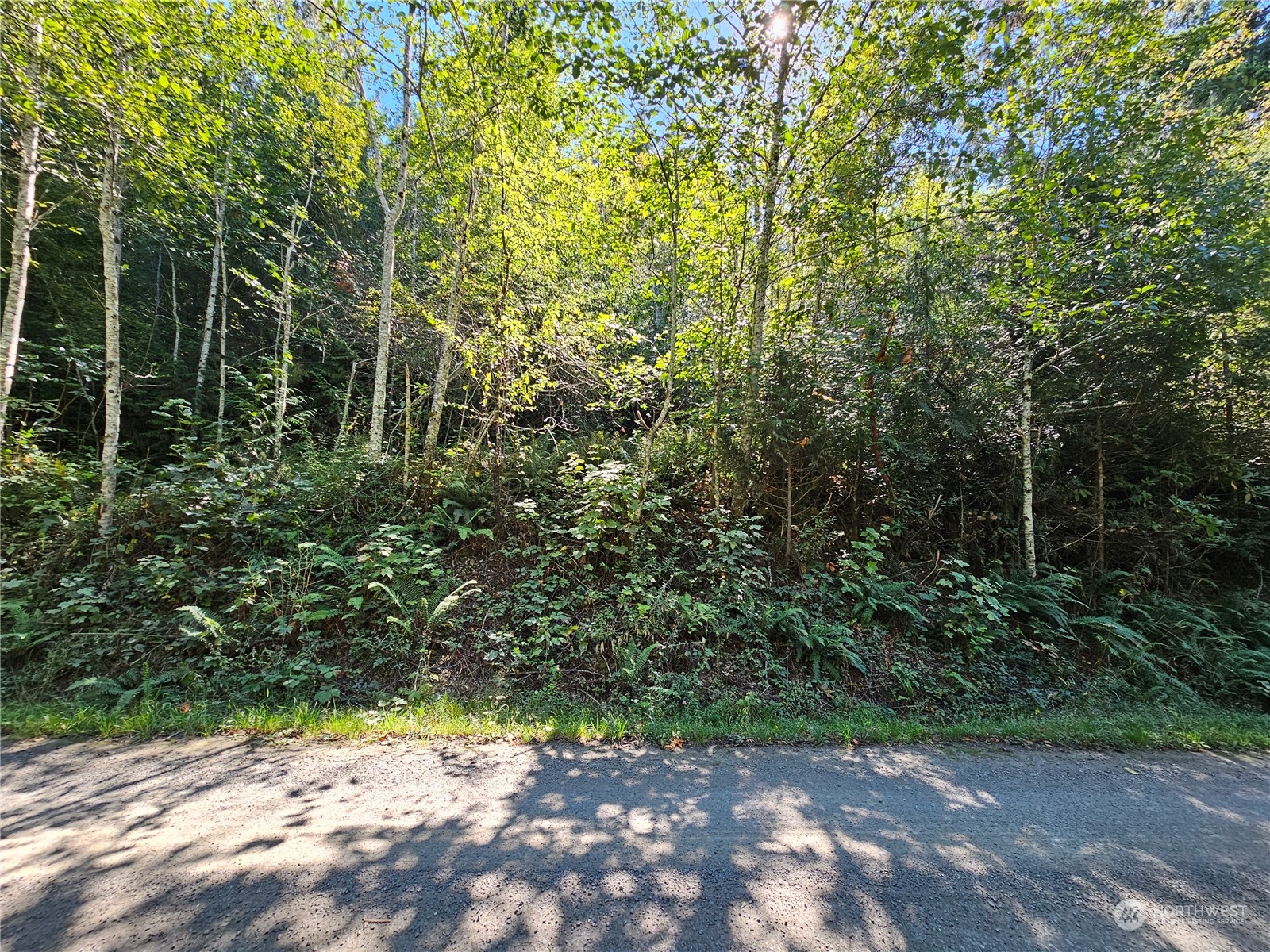 0 Nsn Sunrise Road Property Photo 1