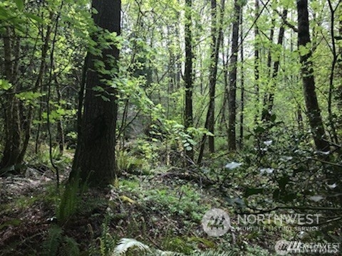 0 Van Wyck Property Photo 7