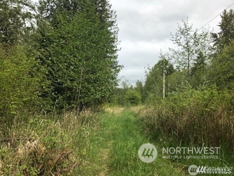 0 Van Wyck Property Photo 11
